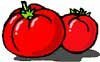 Tomates al arroz y al Azafrán del Gâtinais